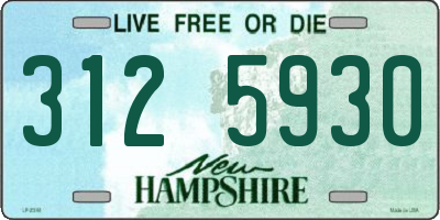 NH license plate 3125930