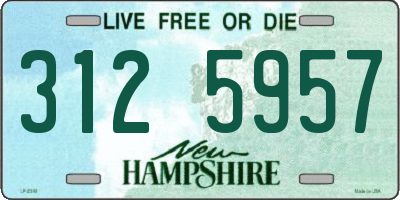 NH license plate 3125957