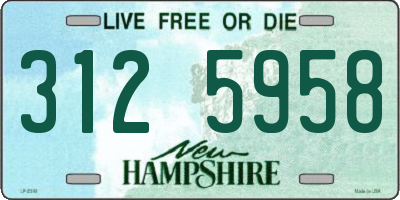 NH license plate 3125958