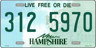 NH license plate 3125970