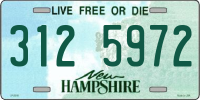NH license plate 3125972