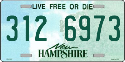 NH license plate 3126973