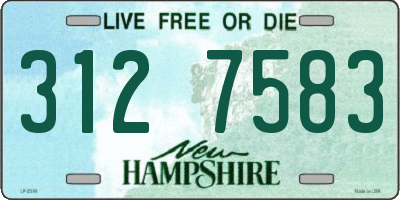 NH license plate 3127583