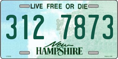 NH license plate 3127873