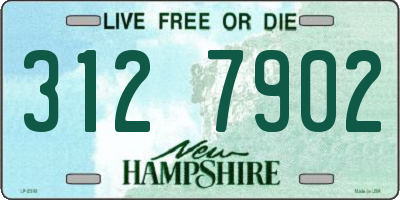 NH license plate 3127902