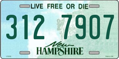 NH license plate 3127907