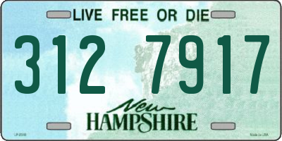 NH license plate 3127917
