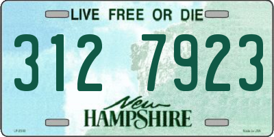 NH license plate 3127923