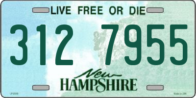 NH license plate 3127955