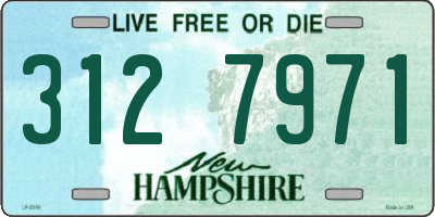 NH license plate 3127971