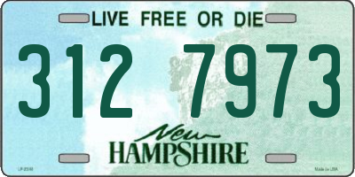 NH license plate 3127973