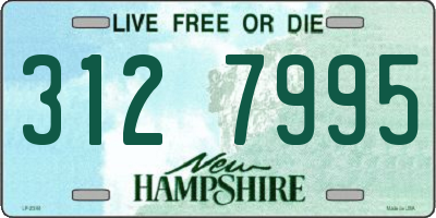 NH license plate 3127995