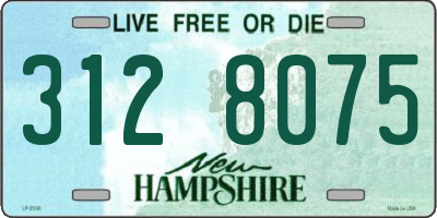NH license plate 3128075