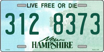 NH license plate 3128373
