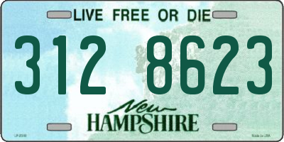 NH license plate 3128623
