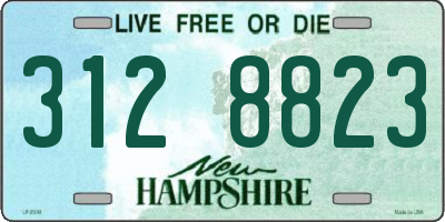 NH license plate 3128823