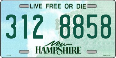 NH license plate 3128858