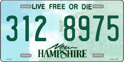 NH license plate 3128975