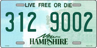 NH license plate 3129002