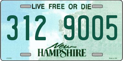 NH license plate 3129005