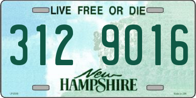 NH license plate 3129016