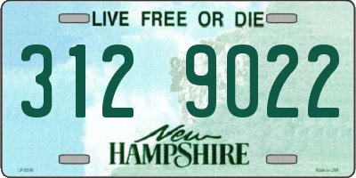 NH license plate 3129022