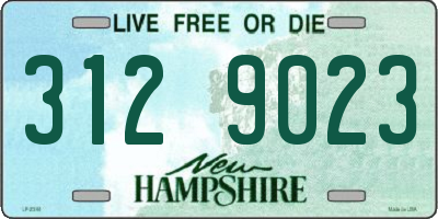 NH license plate 3129023
