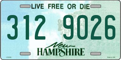 NH license plate 3129026