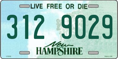 NH license plate 3129029
