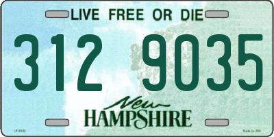NH license plate 3129035