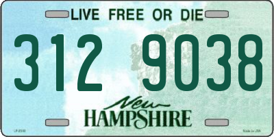 NH license plate 3129038
