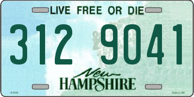 NH license plate 3129041