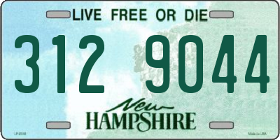 NH license plate 3129044