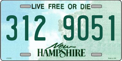 NH license plate 3129051
