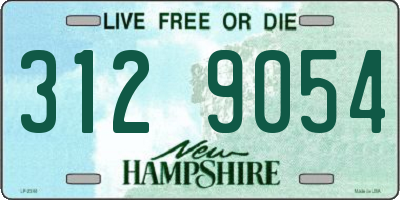 NH license plate 3129054