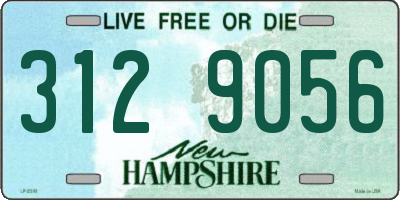 NH license plate 3129056