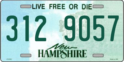 NH license plate 3129057