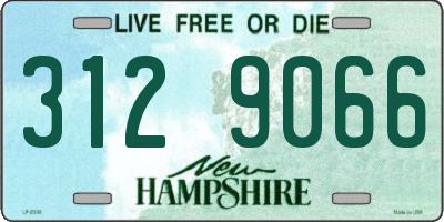 NH license plate 3129066