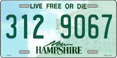 NH license plate 3129067