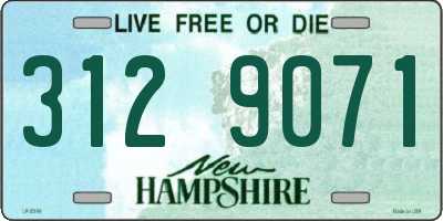 NH license plate 3129071