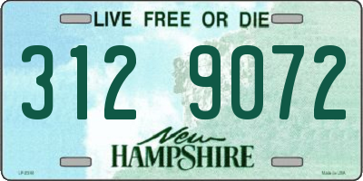 NH license plate 3129072