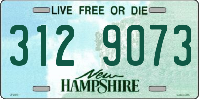 NH license plate 3129073
