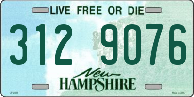 NH license plate 3129076