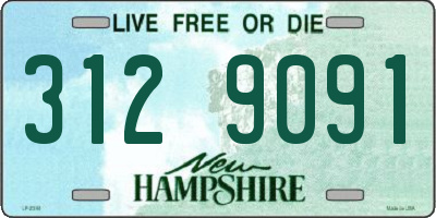 NH license plate 3129091