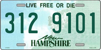 NH license plate 3129101