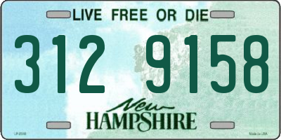 NH license plate 3129158