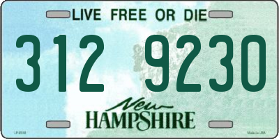 NH license plate 3129230