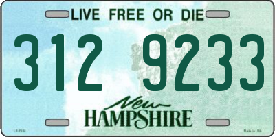 NH license plate 3129233