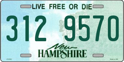 NH license plate 3129570