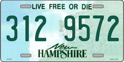 NH license plate 3129572